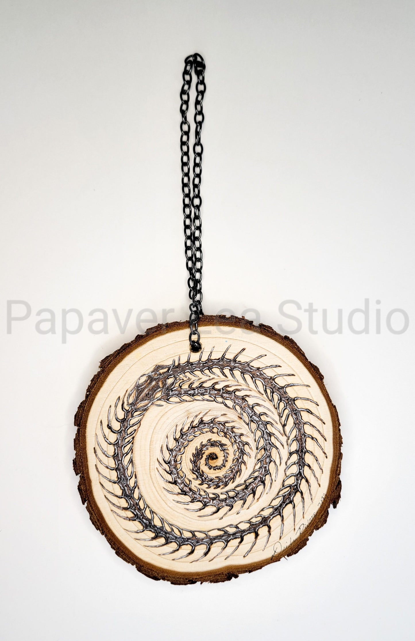 Fossil Ouroboros Large Ornament